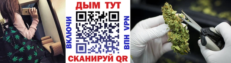 Где купить наркоту Купино Alpha-PVP  Мефедрон  ГАШ  Бошки Шишки 