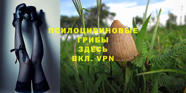 прущие крисы Белоозёрский