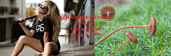 кристаллы Белокуриха